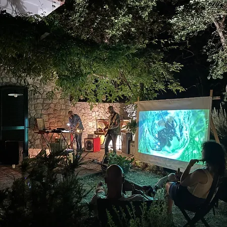 Groove'n'grove