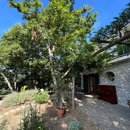 Bed & Breakfast Groove'n'grove Sant'Agata sui due Golfi