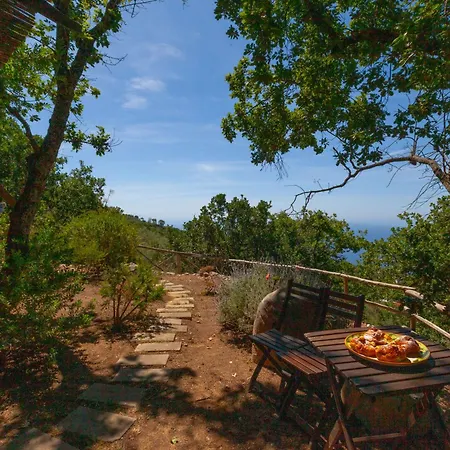 Bed & Breakfast Groove'n'grove Sant'Agata sui due Golfi